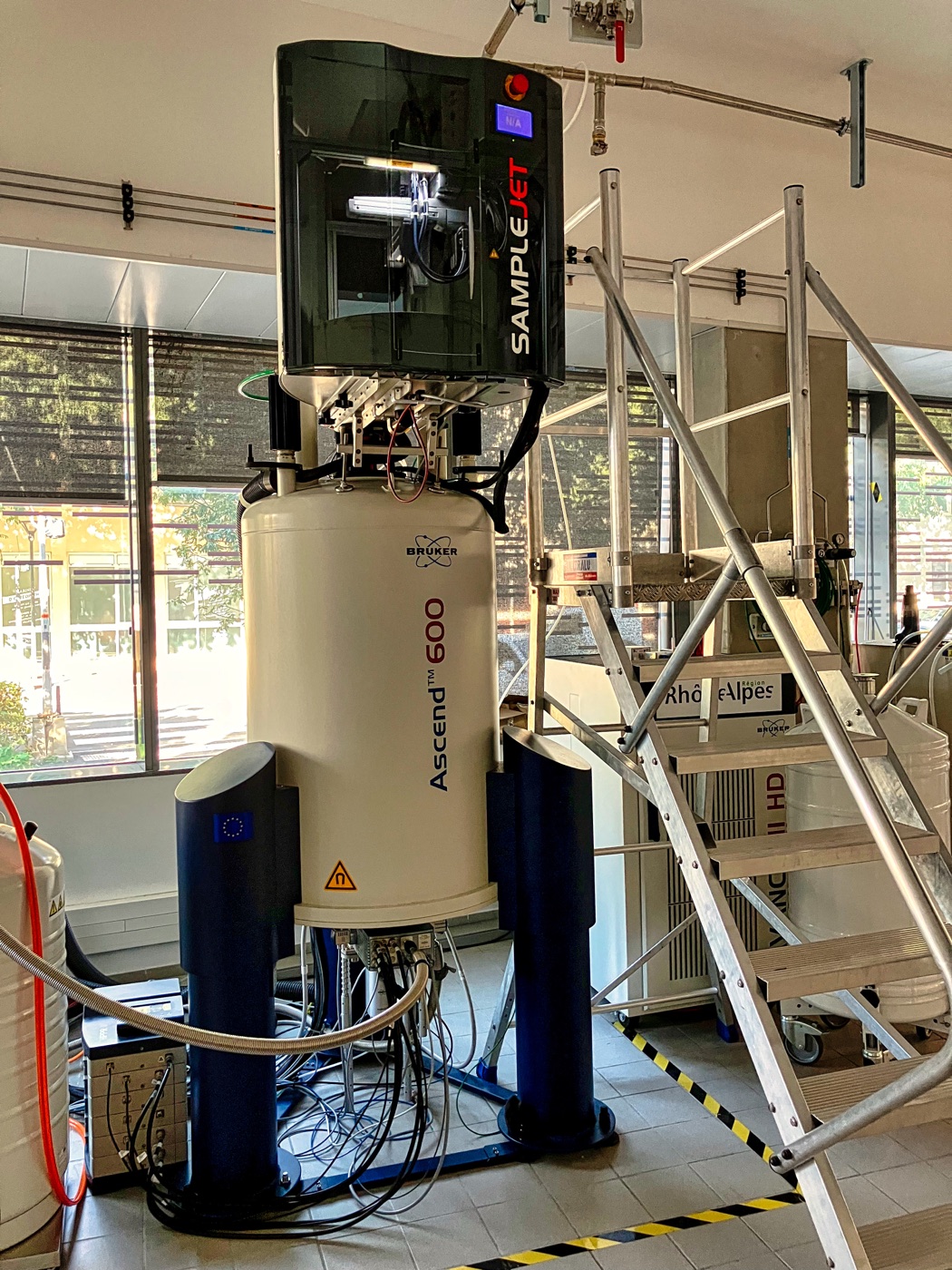 Bruker Ascend 600 MHz NMR spectrometer with SampleJet changer